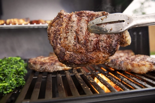 Газовый гриль Weber Genesis E-315