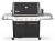Газовый гриль Weber Summit FS38 E