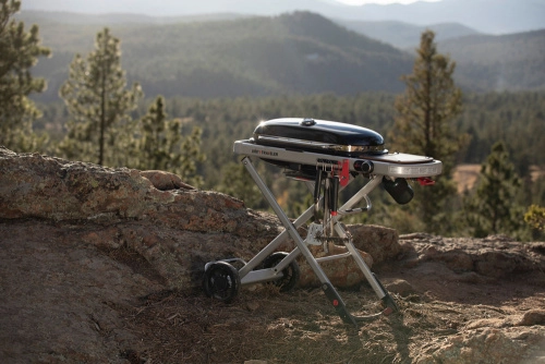 В поход с Weber traveler