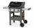 Газовый гриль Weber Spirit II E-310 GBS