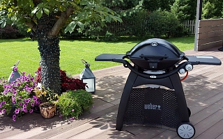 Газовый гриль Weber Q-3200, Московская область, 2015