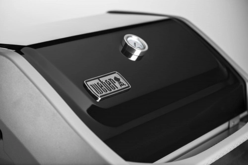 Газовый гриль Weber Spirit II E-310 GBS