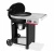 Умный угольный гриль Weber Performer Smart 57 см