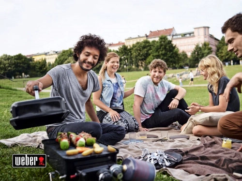 Газовый гриль Weber Go Anywhere Gas