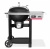 Умный угольный гриль Weber Performer Smart 57 см