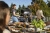 Газовый гриль Broil King Crown 490