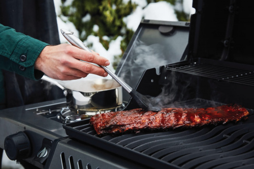 Газовый гриль Napoleon Freestyle 365 SB