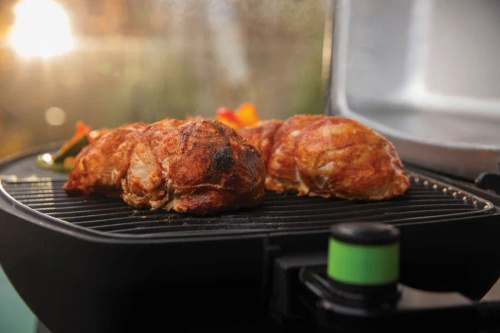 Для жарки, копчения и запекания